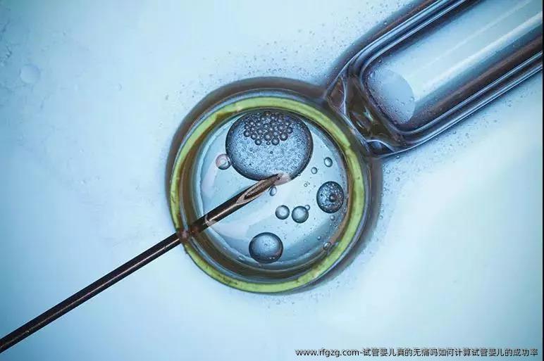 代孕真的无痛吗如何计算代孕的成功率