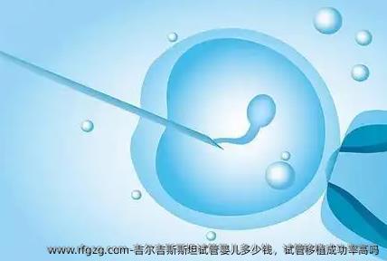 吉尔吉斯斯坦代孕多少钱，试管移植成功率高吗