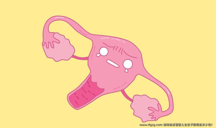 湖南做代孕生孩子费用要多少钱？