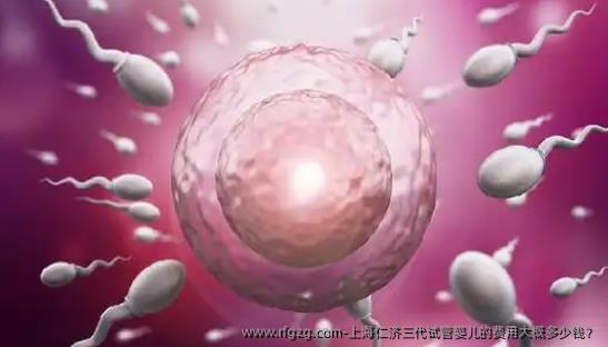 上海仁济三代代孕的费用大概多少钱？