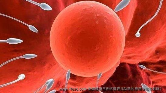 泰国做第三代代孕助孕的费用受哪些影响？