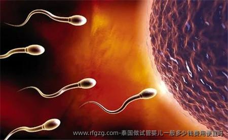 泰国做代孕一般多少钱费用便宜吗