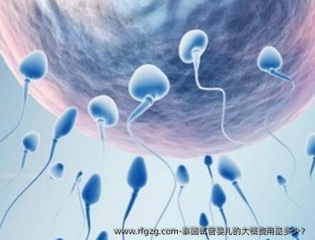 泰国代孕的大概费用是多少？