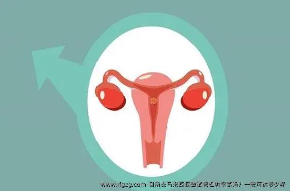 目前去马来西亚做试管成功率高吗？一般可达多少呢