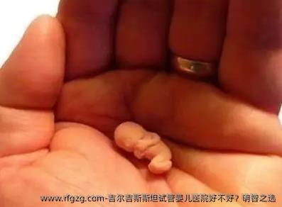 吉尔吉斯斯坦代孕医院好不好？明智之选