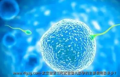 武汉做第三代代孕助孕的主要费用是多少？