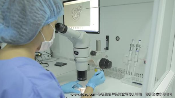 圣禄嘉妇产医院代孕指南，费用及成功率参考