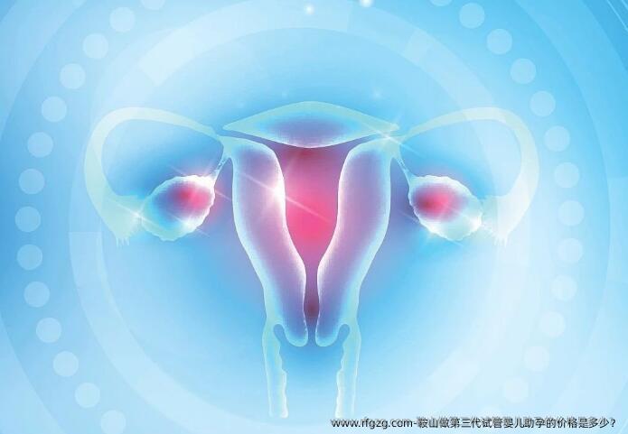 鞍山做第三代代孕助孕的价格是多少？