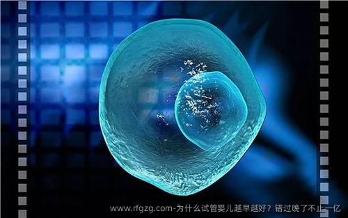 为什么代孕越早越好？错过晚了不止一亿