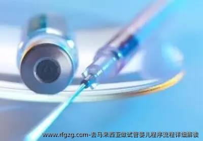 去马来西亚做代孕程序流程详细解读
