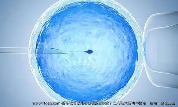 黔东代孕私立医院哪家强？三代技术成功率揭秘，费用一览全知晓