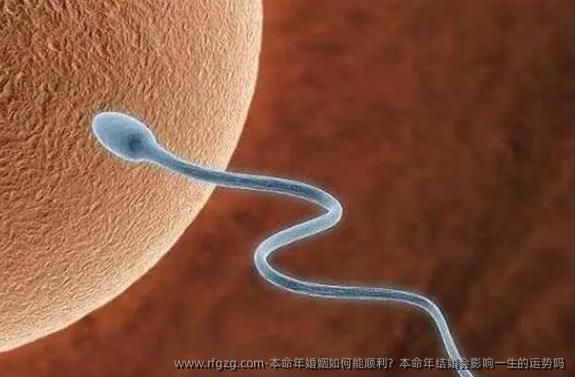 本命年婚姻如何能顺利？本命年结婚会影响一生的运势吗