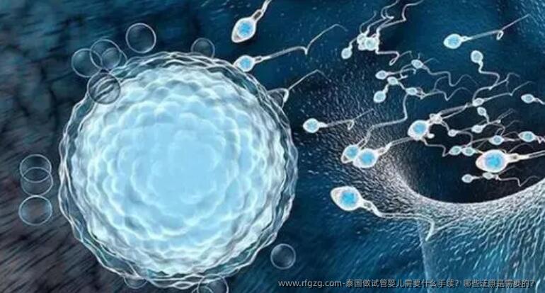 泰国做代孕需要什么手续？哪些证照是需要的？