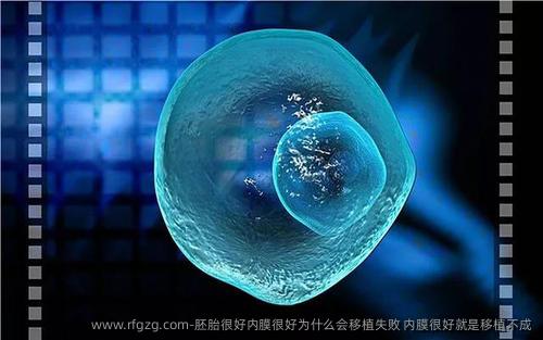 胚胎很好内膜很好为什么会移植失败 内膜很好就是移植不成