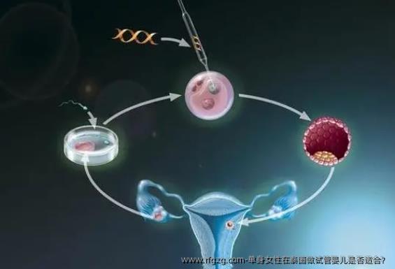 单身女性在泰国做代孕是否适合？