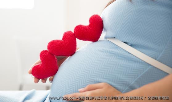 在南昌进行代孕的费用包含哪些部分？全面费用指南