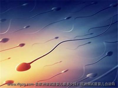 去欧洲做代孕要多少钱？欧洲做代孕合法吗