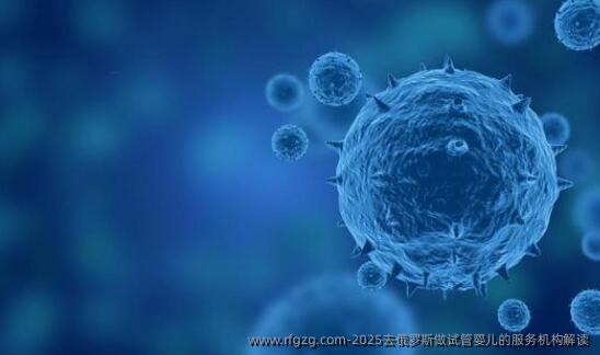 2025去俄罗斯做代孕的服务机构解读