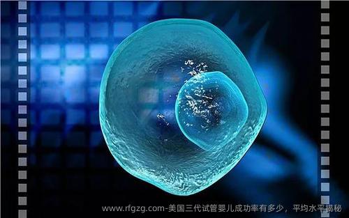 美国三代代孕成功率有多少，平均水平揭秘