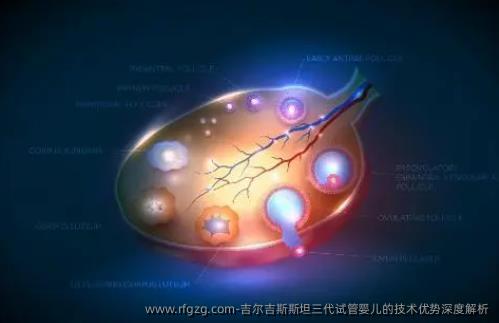 吉尔吉斯斯坦三代代孕的技术优势深度解析