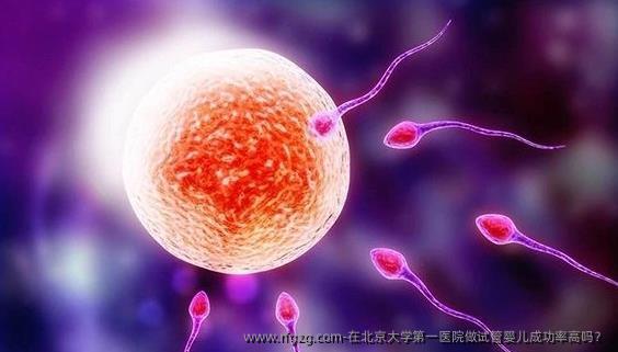 在北京大学第一医院做代孕成功率高吗？