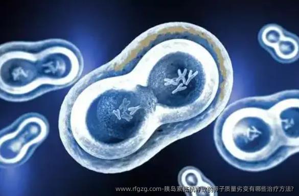 胰岛素抵抗导致的卵子质量劣变有哪些治疗方法?