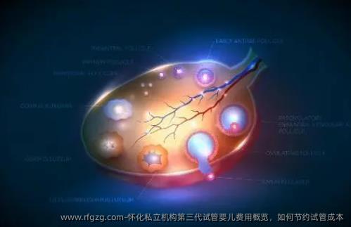 怀化私立机构第三代代孕费用概览，如何节约试管成本