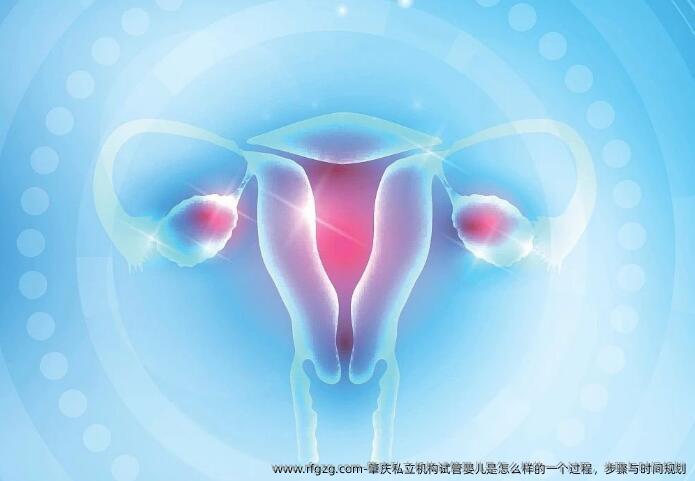 肇庆私立机构代孕是怎么样的一个过程，步骤与时间规划