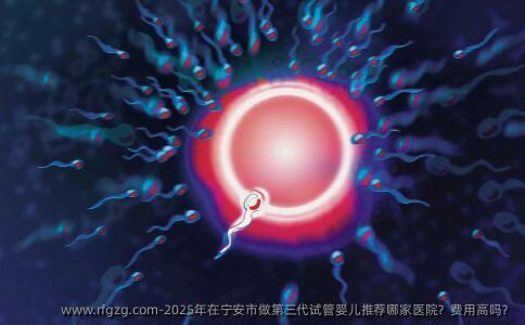 2025年在宁安市做第三代代孕推荐哪家医院？费用高吗？