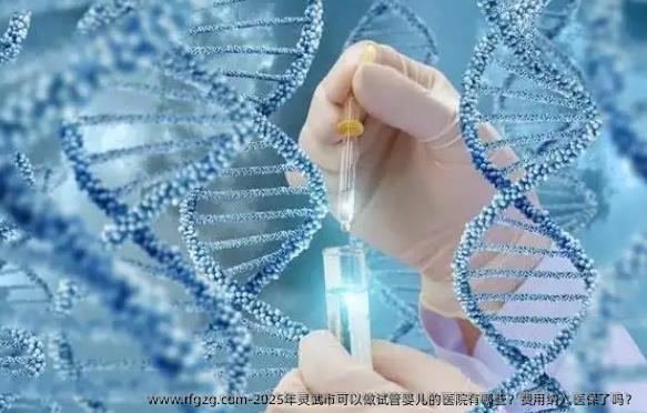 2025年灵武市可以做代孕的医院有哪些？费用纳入医保了吗？