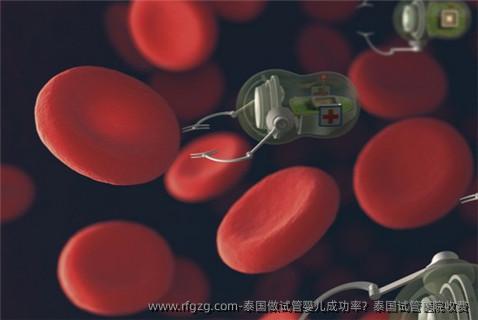 泰国做代孕成功率？泰国试管医院收费