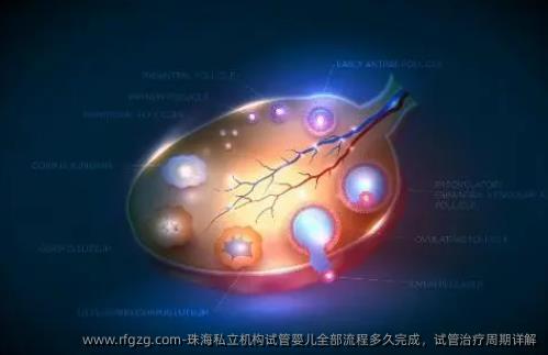 珠海私立机构代孕全部流程多久完成，试管治疗周期详解